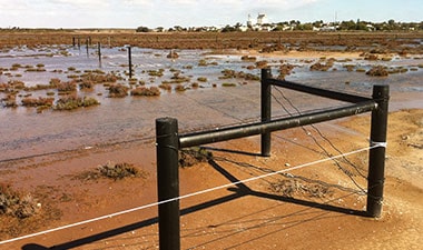 Woodshield Posts