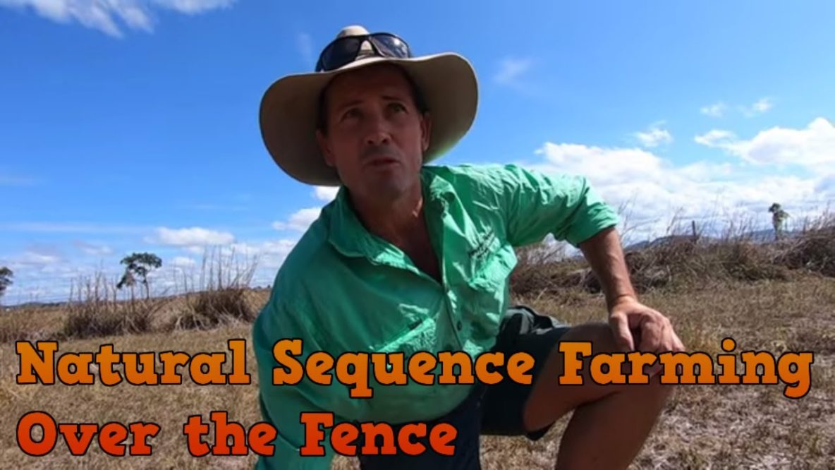 Image for over the fence with stuart andrews from forage farms natural sequence farming