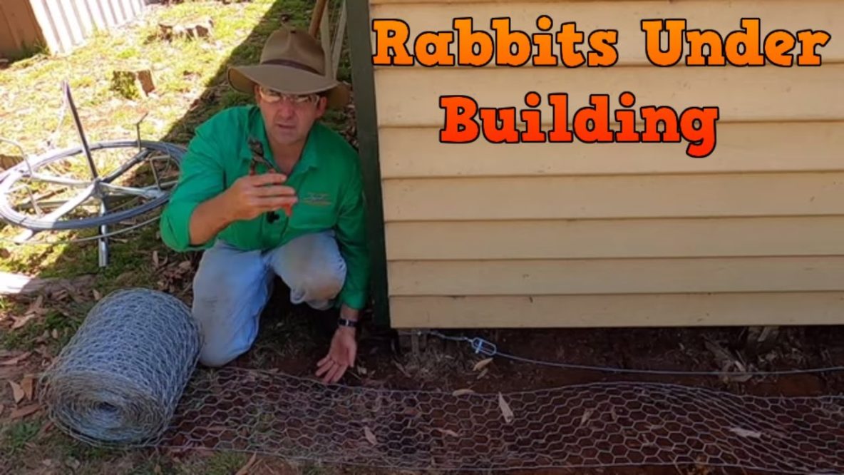 Image for rabbit barrier under shed. keeping burrowing pests out from under buildings.
