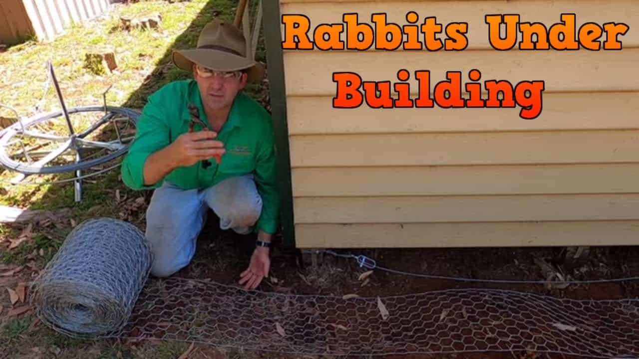 Image showcasing Rabbit Barrier Under Shed. Keeping burrowing pests out from under ...