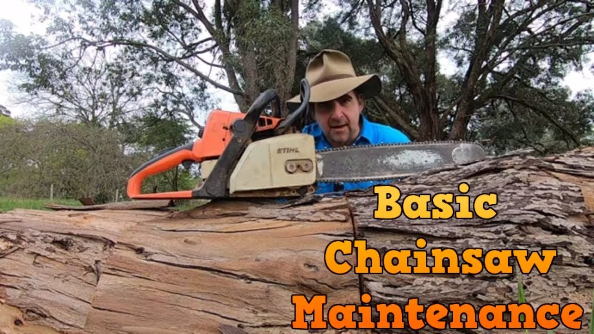 Image for basic chainsaw maintenance
