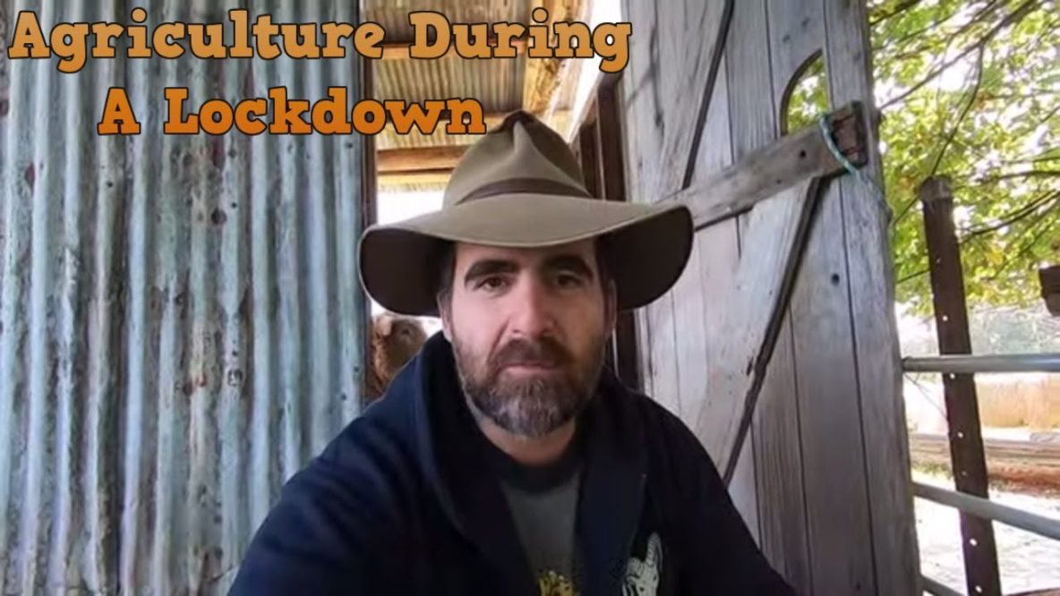 Image for agriculture producers dealing with lockdown