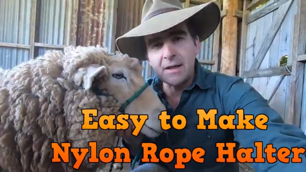 Image For How To Make A Good Looking Nylon Rope Halter For Sheep Using Simple Tools Around The Farm!