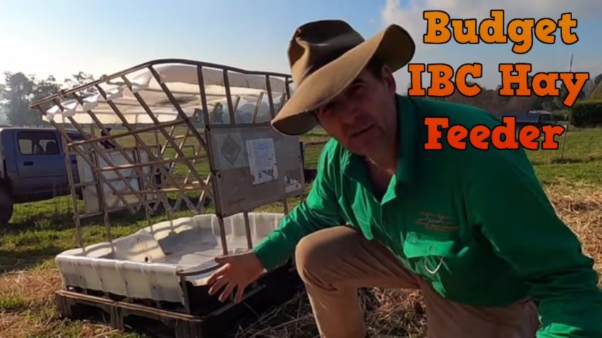 Image for Build a Budget Hobby Farm Hay Feeder Out of an IBC