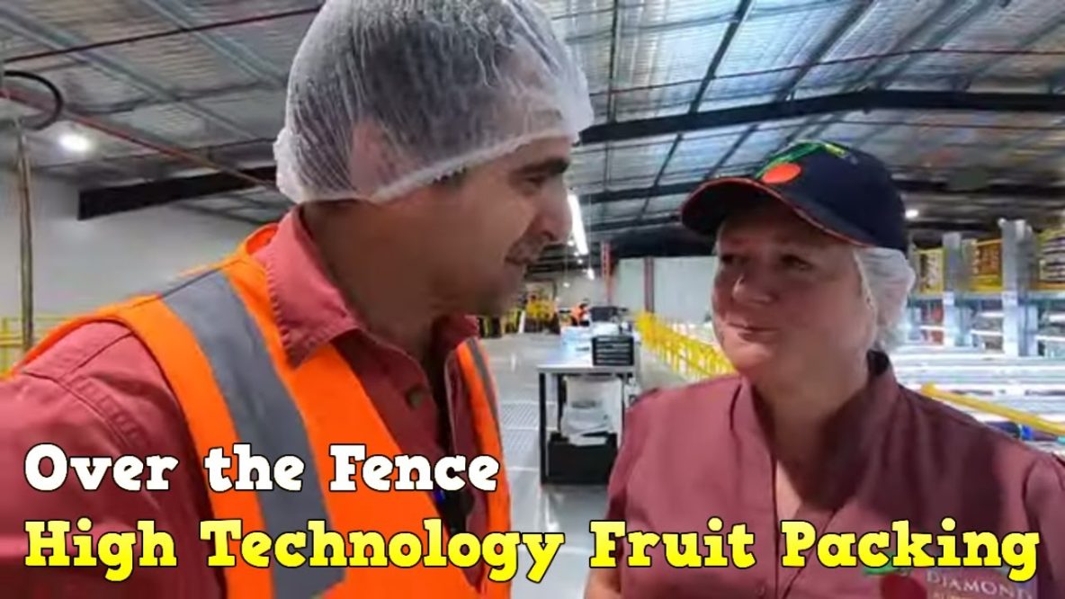 Image for over the fence high tech fruit farming (dec 2019)