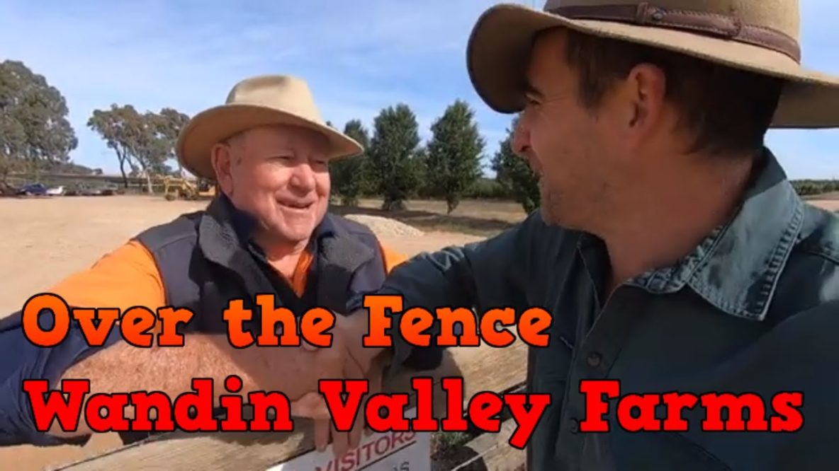 Image For Over The Fence At Wandin Valley Farms