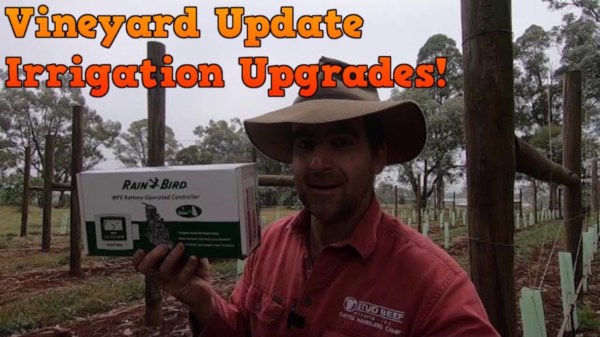 Image for vineyard update exploding grommets and new irrigation controller install