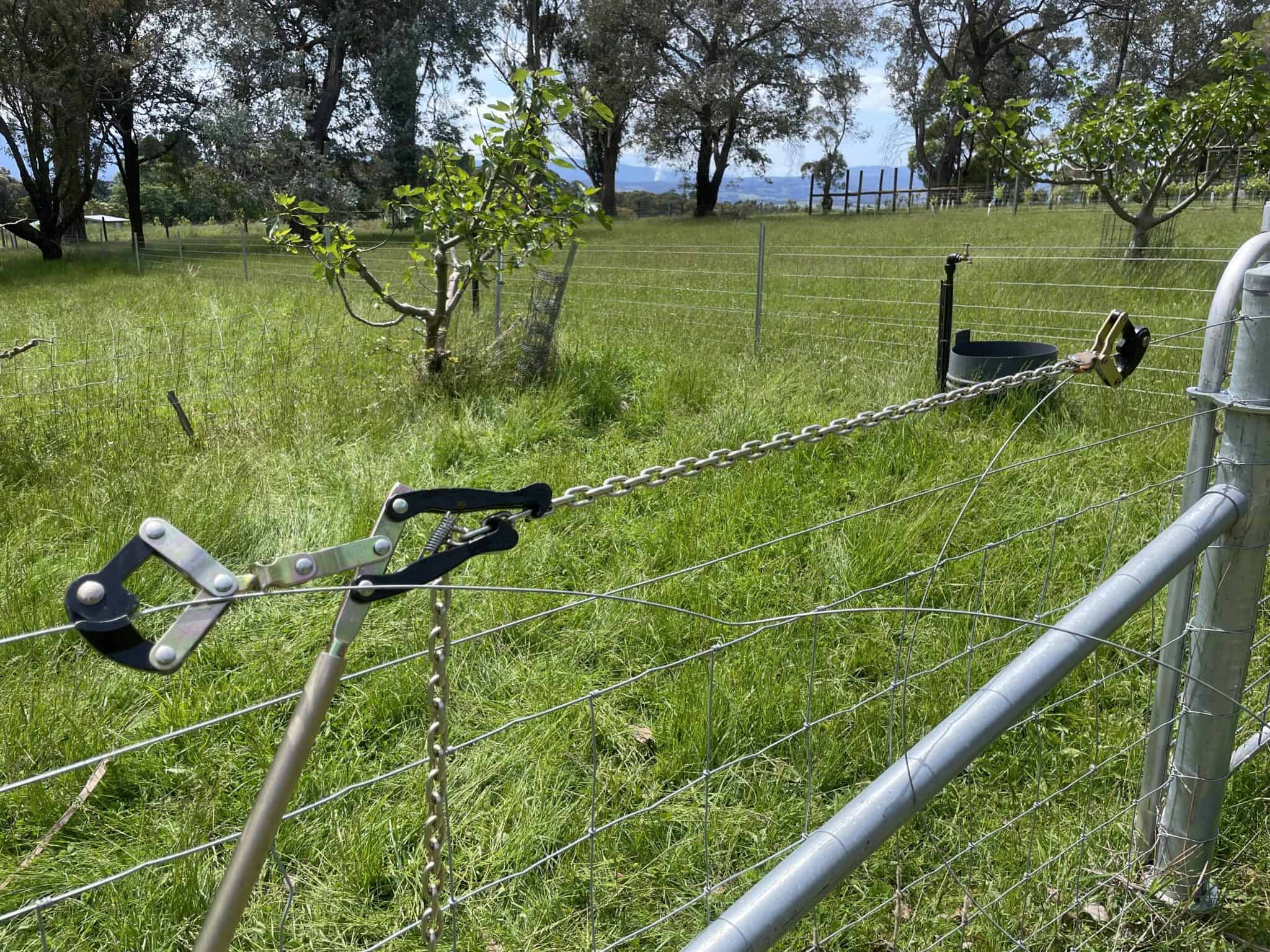 Mastering Fence Strainers A Beginner's Guide Tim Thompson